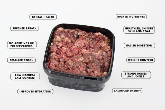 Chicken - Complete Raw Dog Food Mince 1KG
